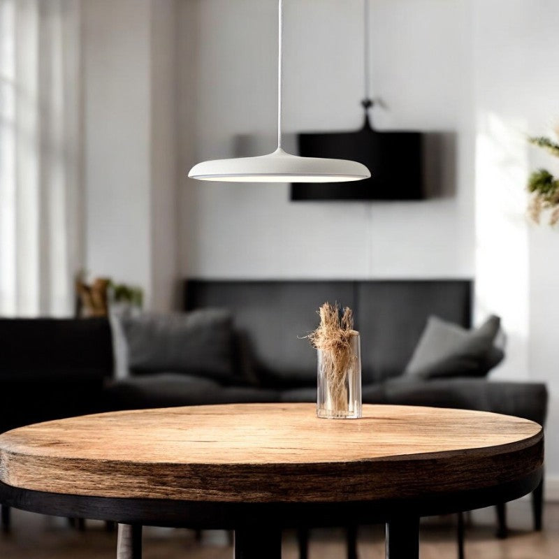 Contemporary Pendant Light Simple Nordic Style Lighting