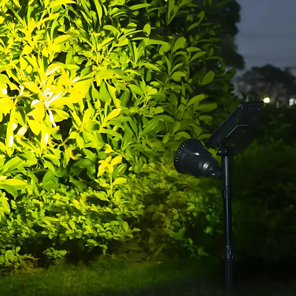 Adjustable Solar Outdoor Spotlight Multi-Colour Garden Light