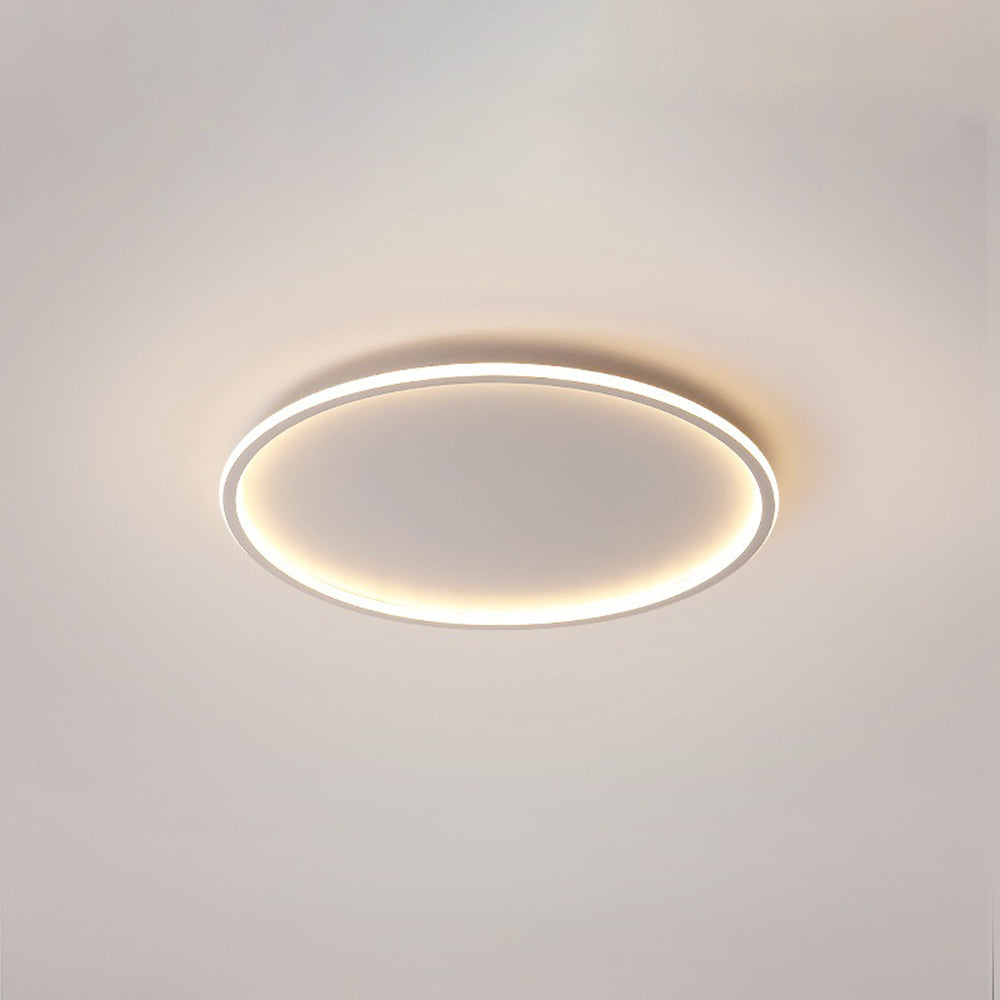 Indoor LED Ceiling Light Flush Mount Round Style