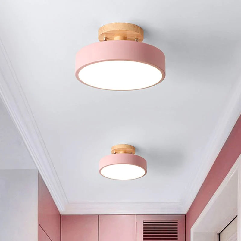 Scandinavian LED Ceiling Light Modern Flush Mount Light