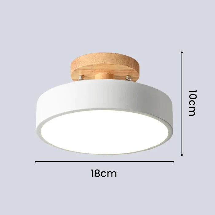 Scandinavian LED Ceiling Light Modern Flush Mount Light