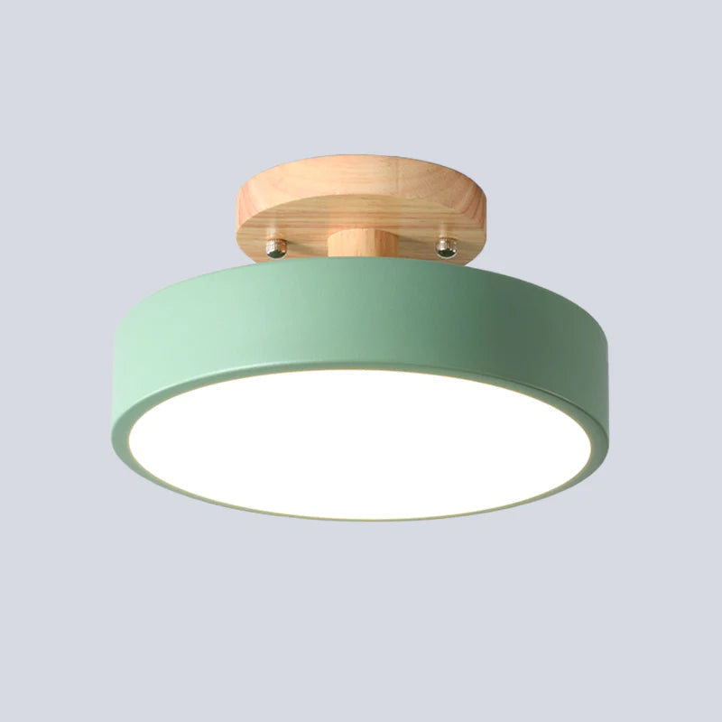 Scandinavian LED Ceiling Light Modern Flush Mount Light