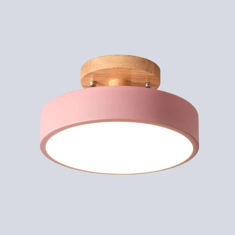 Scandinavian LED Ceiling Light Modern Flush Mount Light