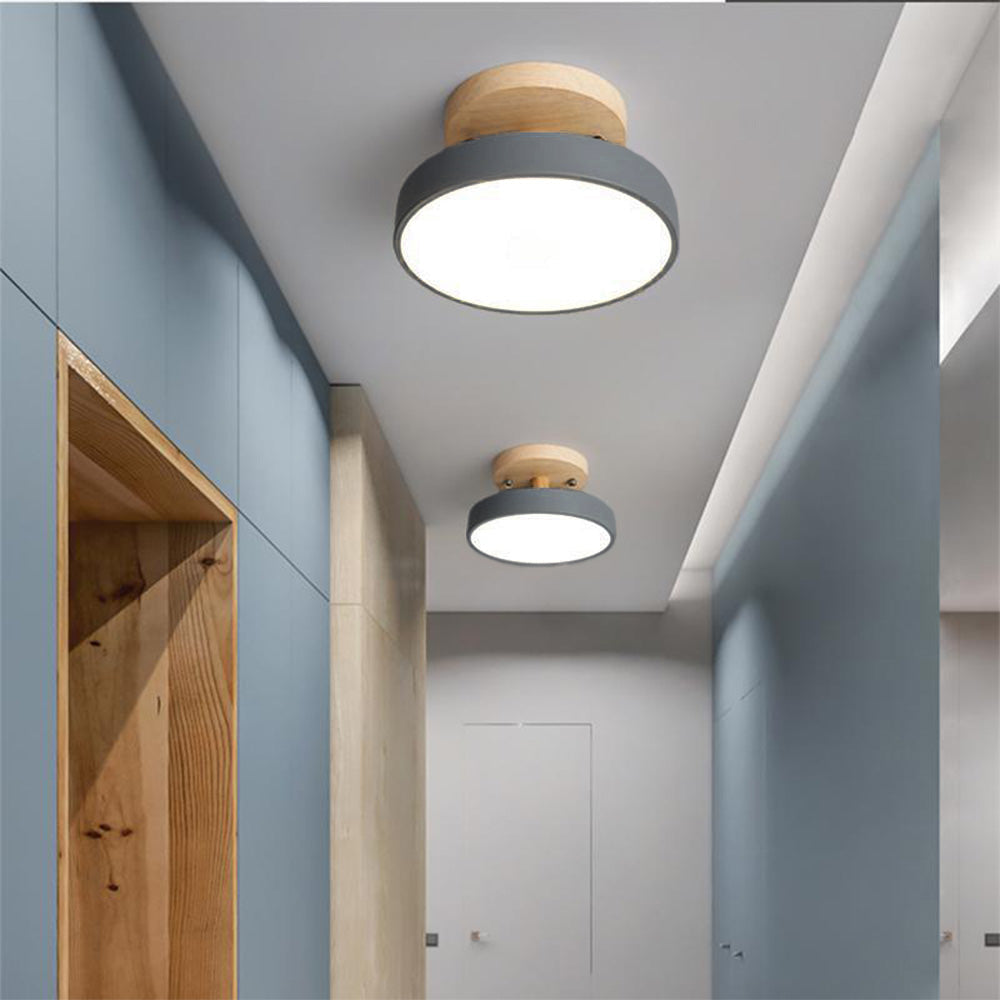 Scandinavian LED Ceiling Light Modern Flush Mount Light