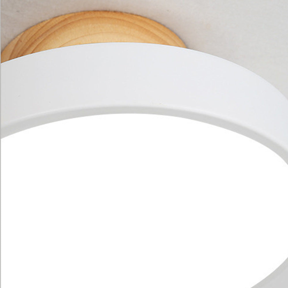 Scandinavian LED Ceiling Light Modern Flush Mount Light