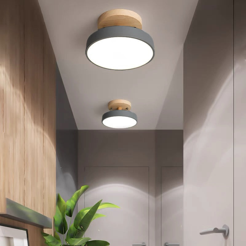 Scandinavian LED Ceiling Light Modern Flush Mount Light