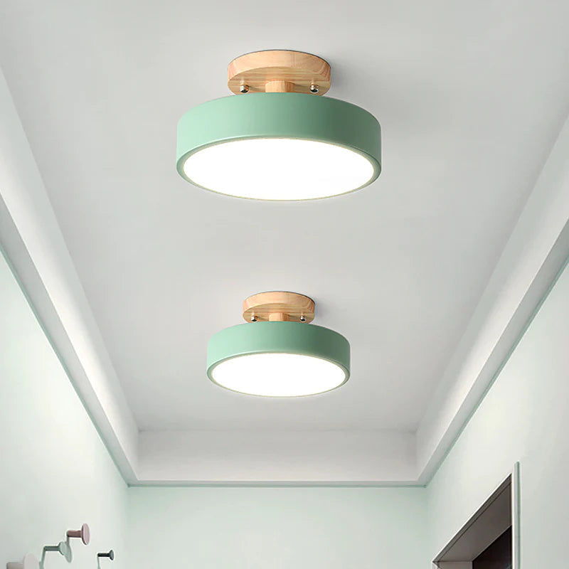 Scandinavian LED Ceiling Light Modern Flush Mount Light