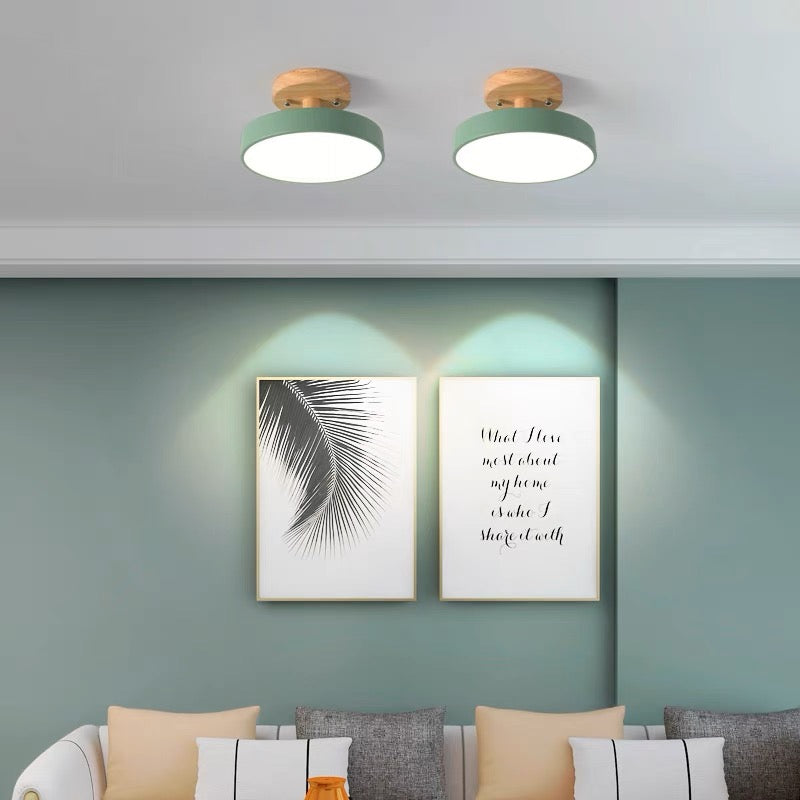 Scandinavian LED Ceiling Light Modern Flush Mount Light