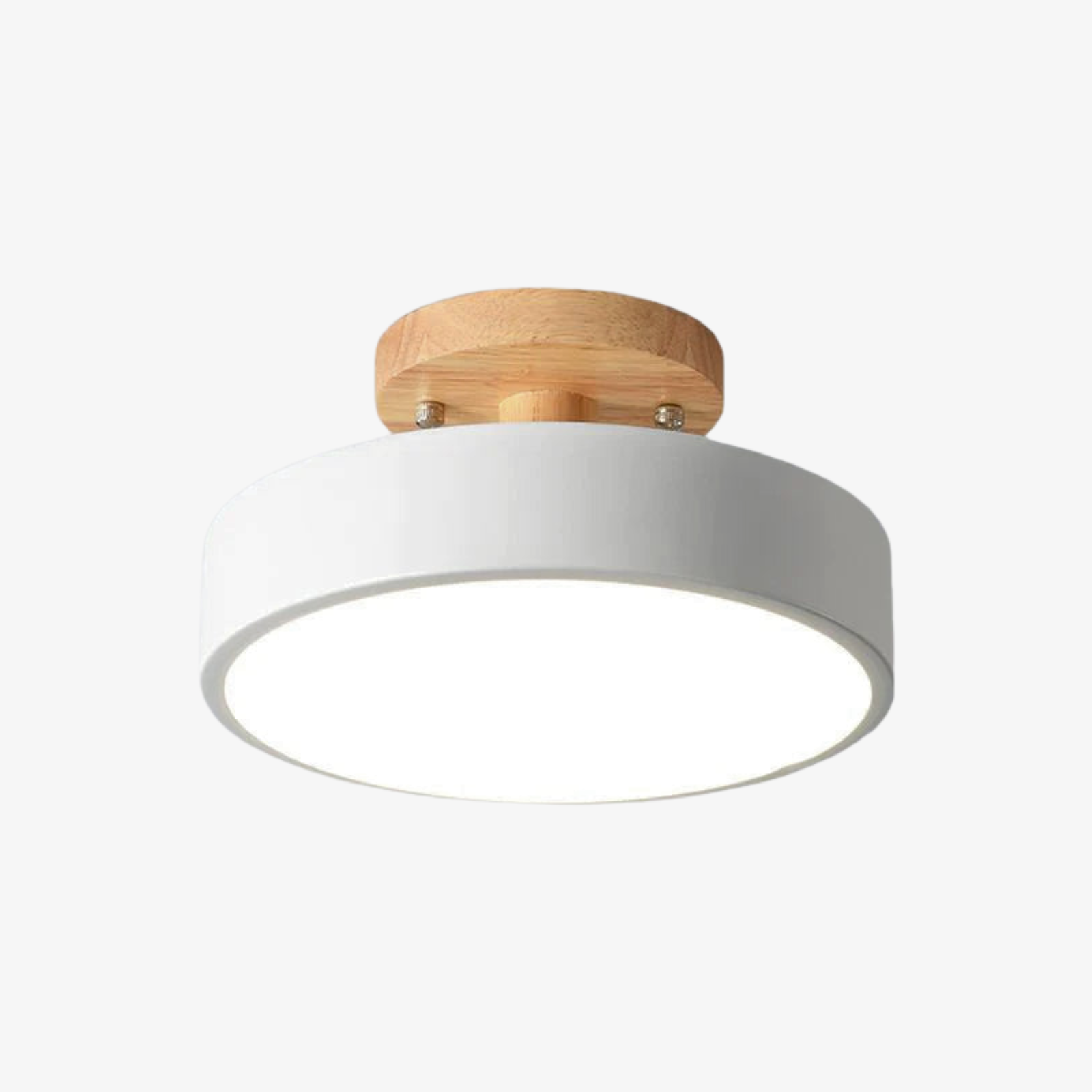 Scandinavian LED Ceiling Light Modern Flush Mount Light