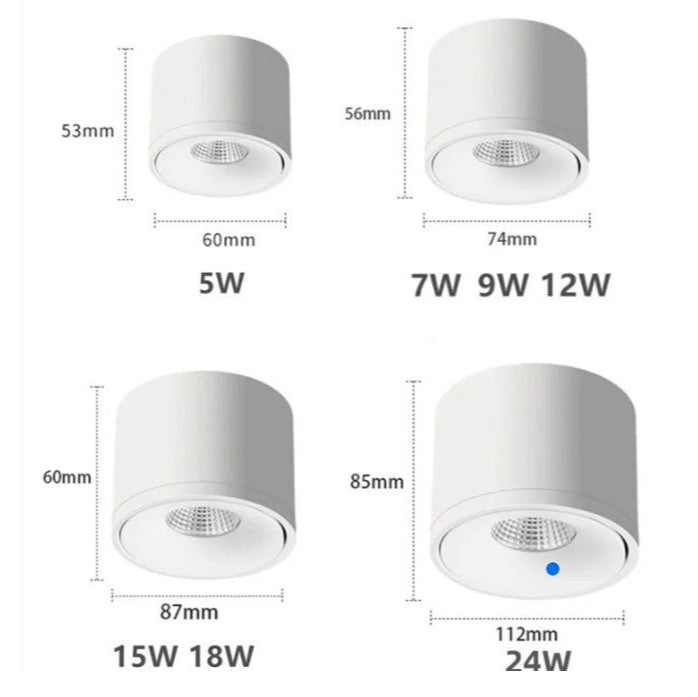 Directional Ceiling Spotlight Surface Mounted Adjustable Light