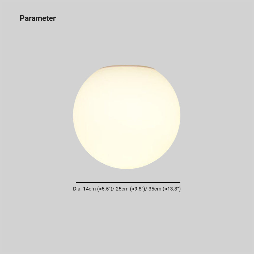 Bubble Globe Ceiling Light Modern Flush Mount Lighting