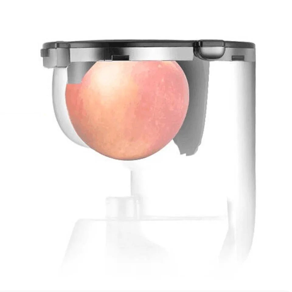 Electric Fast Juicer Wide Chute Whole Fruit Juice Extractor