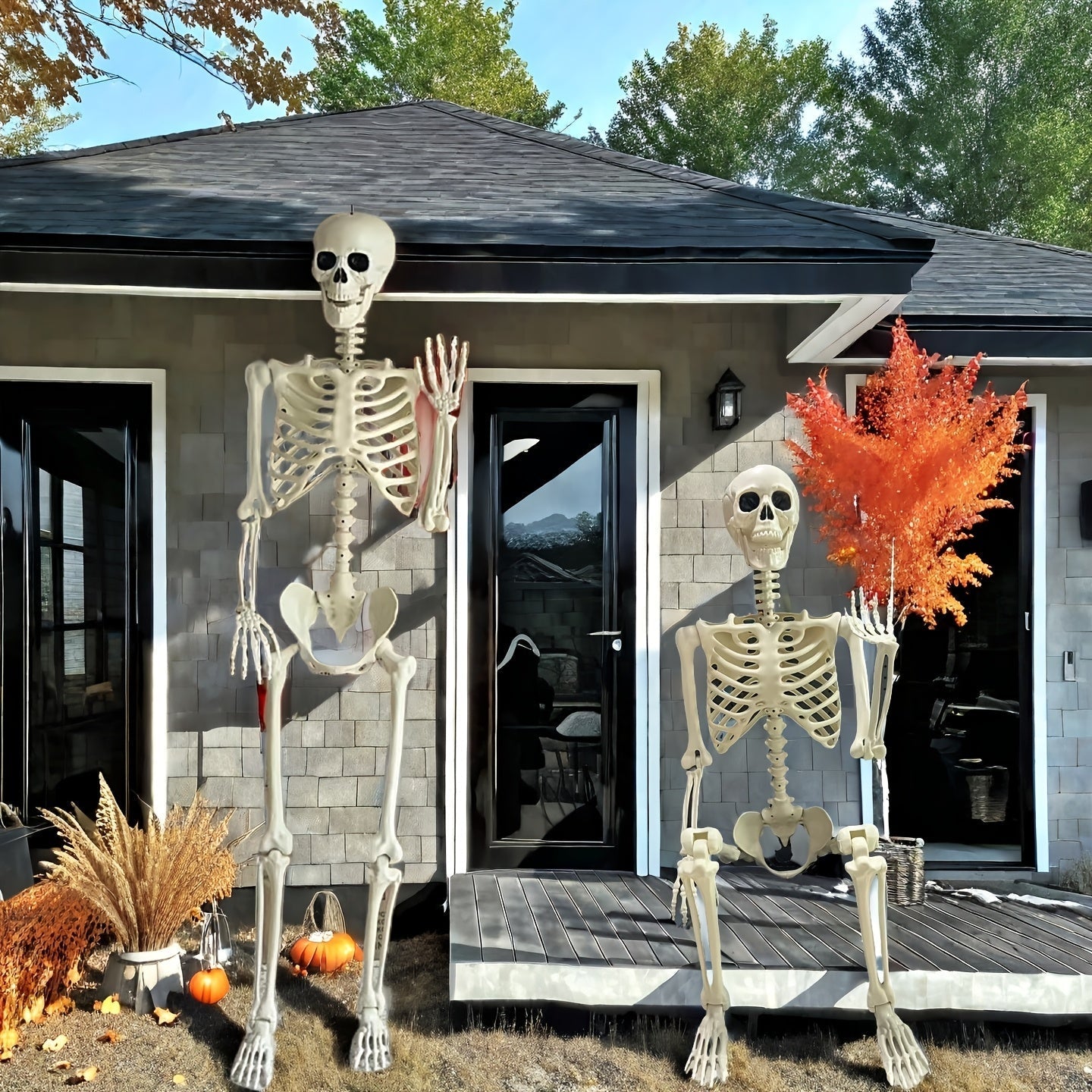 Outdoor Halloween Skeleton Decoration 5.5 ft Freestanding Figure
